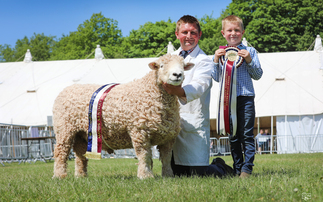 Devon County Show: Native breeds lead the livestock at Devon County Show  