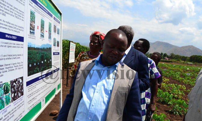 NEMA to draft biosafety regulations and guidelines NEMA to draft biosafety regulations and guidelines