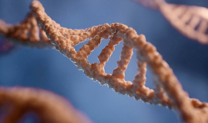 (c) digitale.de/Unsplash 