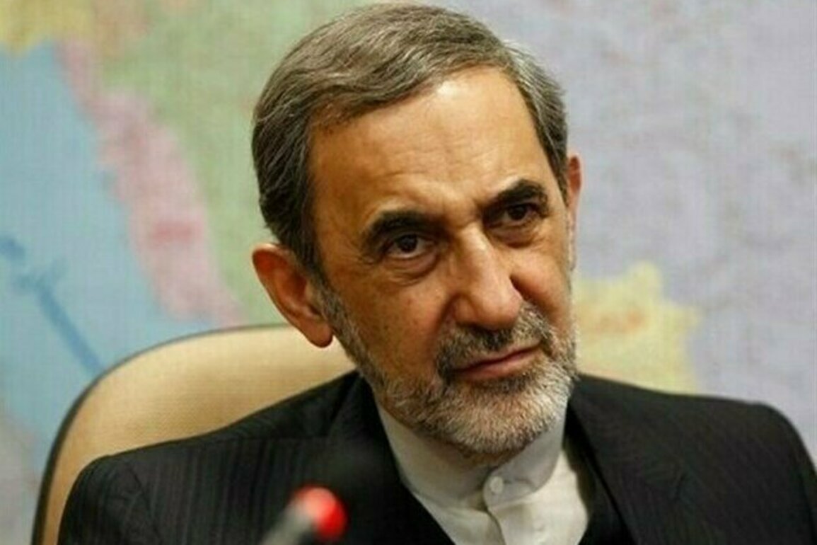 SCO to Play Leading Role in Worlds Future: Irans Velayati