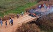  Garimpeiros bloqueiam estrada no Pará para impedir passagem das Forças Armadas/Reprodução