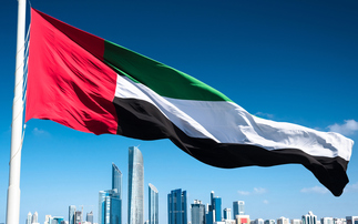Abu Dhabi H1 real estate sales over $6bn
