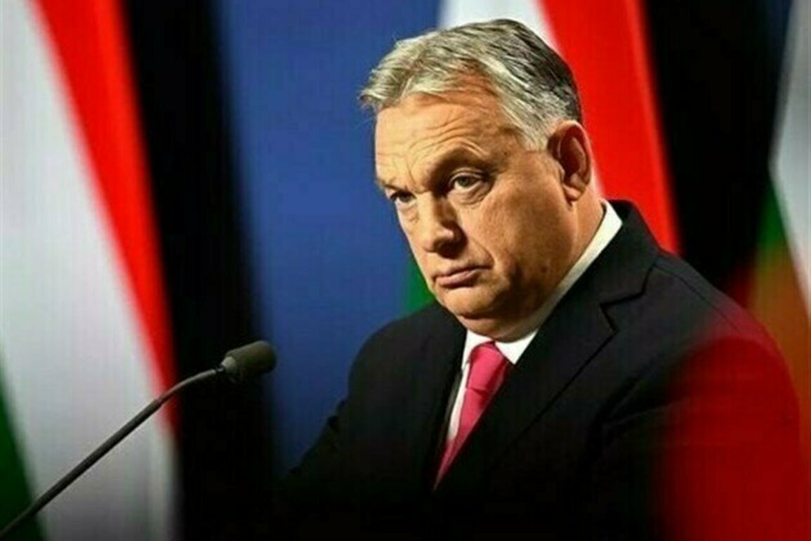 European Leaders Decide to Continue War in Ukraine: Orban