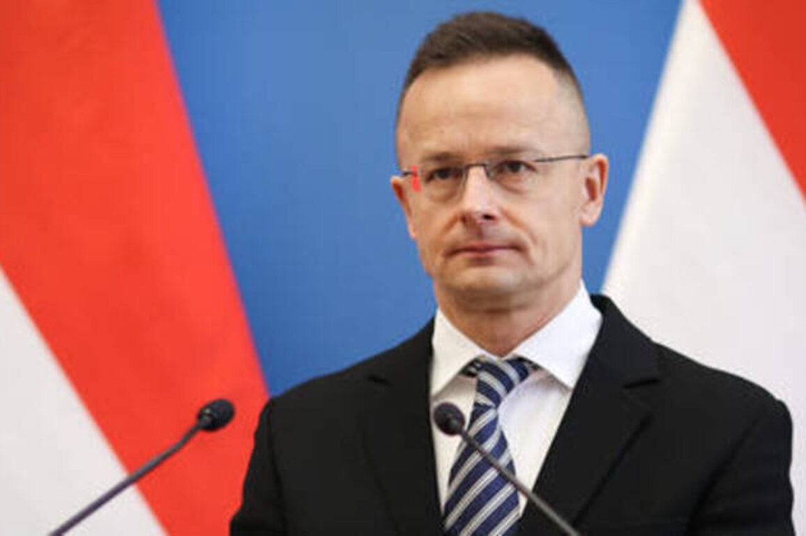 Kiev illegally tried to conscript ethnic Hungarians - Budapest