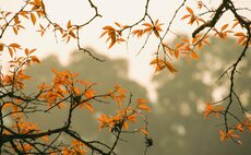 Professional Pensions Monthly Digest: October 2021