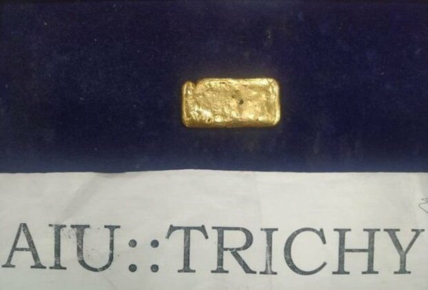 Tamil Nadu: Gold worth Rs 12 lakh seized at Trichy Airport