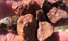  Breccia from NV Gold’s Slumber project in Nevada
