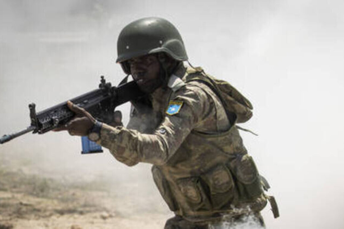 'Key members' of terrorist group killed in Somalia