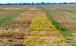 Herbicide resistance tours begin