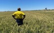 Peak farming bodies and organisations are calling on the Federal Government for funding to help mental health issues.