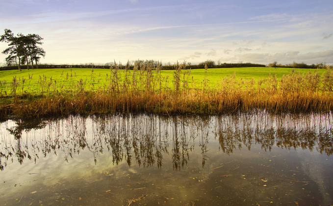 Defra and Natural England launch latest wave of nature recovery projects