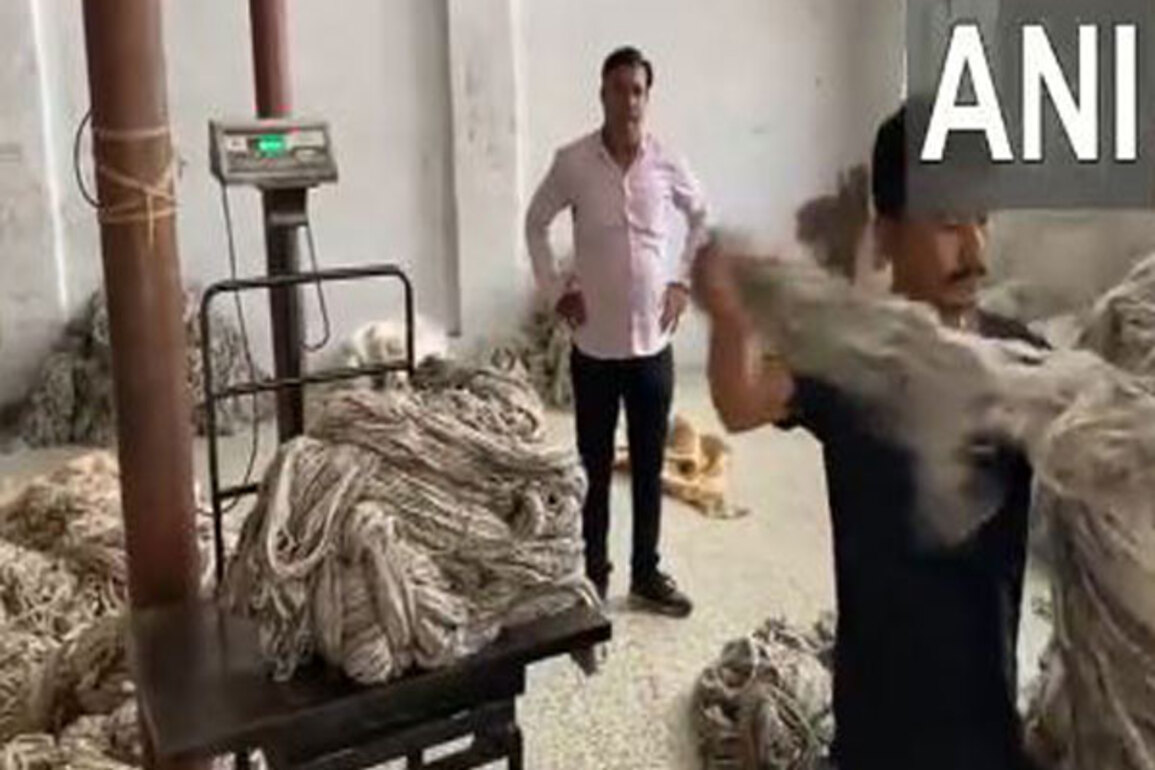 Rajasthan: Wool traders in Bikaner seek relief from Centre amid 50% US tariffs