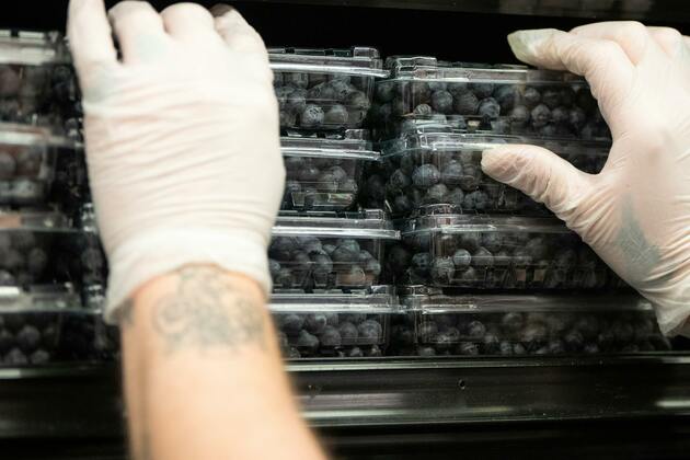 Opinion- Are tariffs going to obstruct our access to blueberries&quest;