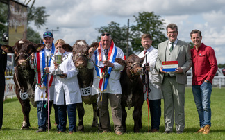 Beef Shorthorns and Holsteins claim Burke Trophies at Royal Three Counties Show