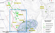 Goldsource Mines has made another discovery, Powis, on the flagship Eagle Mountain property in Guyana