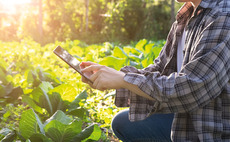 Free app to help potato growers manage disease risk