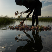 SRI LANKA-ANURADHAPURA-DAILY LIFE