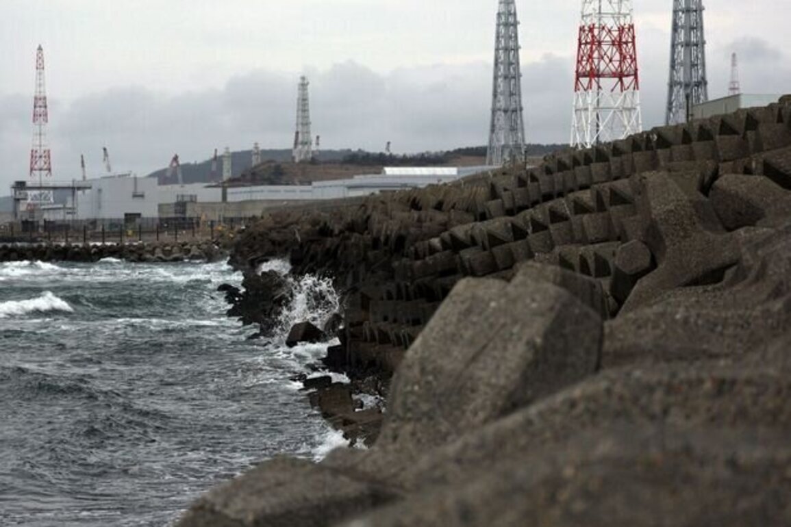 Japan restarts world's biggest nuclear plant