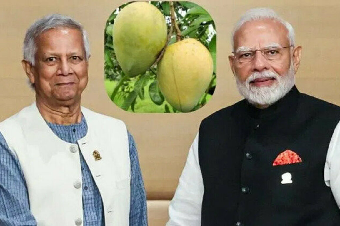 Bangladeshs Mango Diplomacy to Sweeten Relations With India