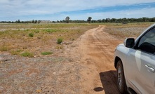  Sparkler sits on cleared agricultural land