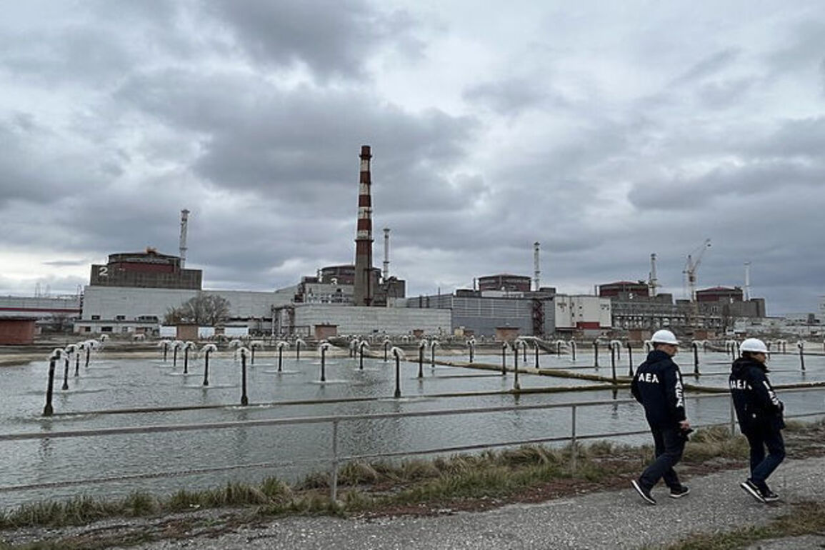 Greenpeace warns of mounting nuclear safety risks in Ukraine