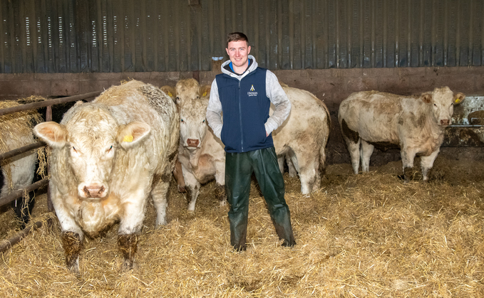 Mr Mitchell has been growing his pedigree Charolais herd for the last nine years, purchasing breeding females from noted Charolais breeders to help improve genetics.