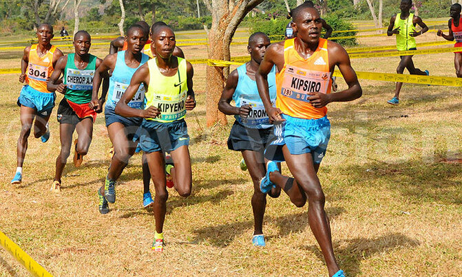 Kipsiro back for National Cross Country event Kipsiro back for National Cross Country event