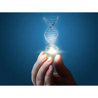 Russian scientists develop unique DNA sensor to assess protective effect of antioxidants in beverages