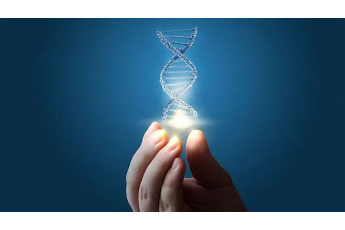 Russian scientists develop unique DNA sensor to assess protective effect of antioxidants in beverages