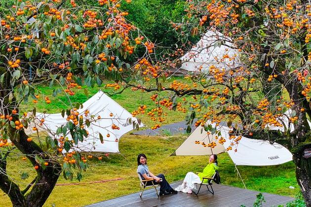 Camping boom ignites outdoor industry growth across China