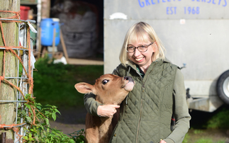 SAVE BRITAIN'S FAMILY FARMS: Helen Stanier, Vale of York: "I want something [my children] can come back to"