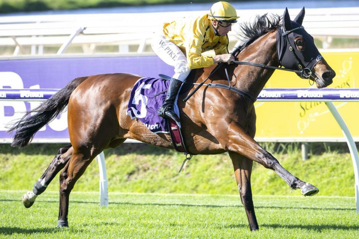 Top filly Storyville out to upstage boys in Saturdays Raconteur Stakes at Bunbury