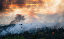 Heroic farmers deserve dedicated fund for efforts in tackling rural wildfires, MP claims