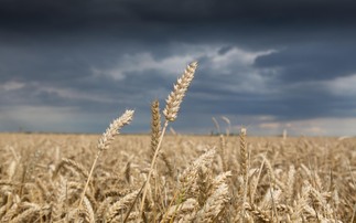 Farming in a climate crisis