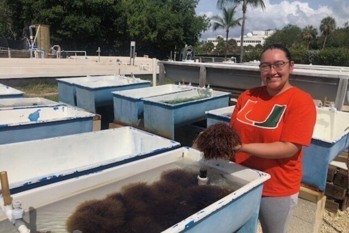 Algae-powered concrete earns University of Miami project top prize 