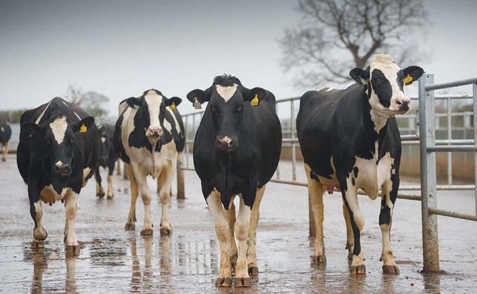 Farmers urged to speak up for a more effective dairy supply chain