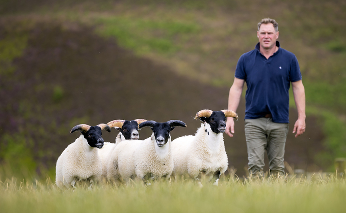 Blackface flock suited to Dumfries hill farm