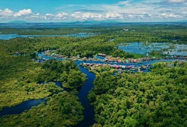 Lahan gambut dan mangrove adalah ekosistem kaya karbon yang harus dilindungi untuk mitigasi perubahan iklim