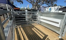 The Ram-to-Ewe automated catching pen by Flinn Design won the Machine of the Year Award at Henty Field Days this week. Photo: Mark Saunders.