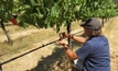 Australia-China research centre focuses on grains, health and wine