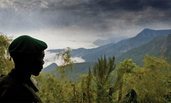 NGOs call for oil drilling ban at Africa's Virunga wildlife park NGOs call for oil drilling ban at Africa's Virunga wildlife park
