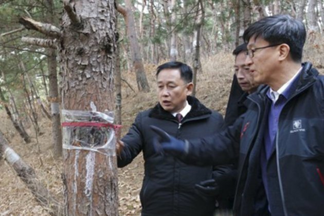 North Korean Students Brave Bitter Cold to Collect Caterpillars