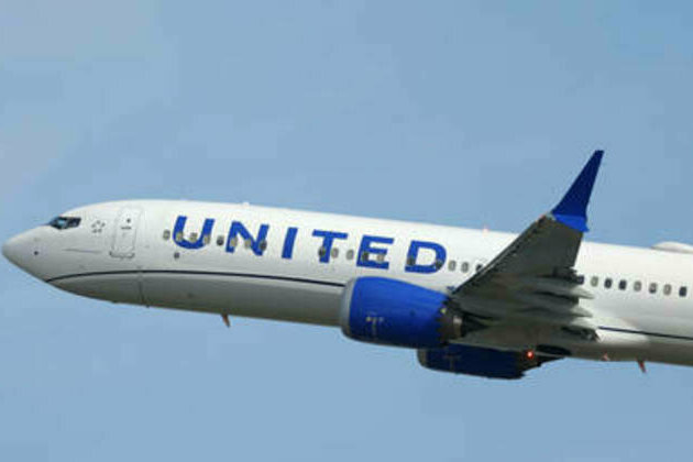 Passenger plane hit by suspected 'space debris' (PHOTOS)
