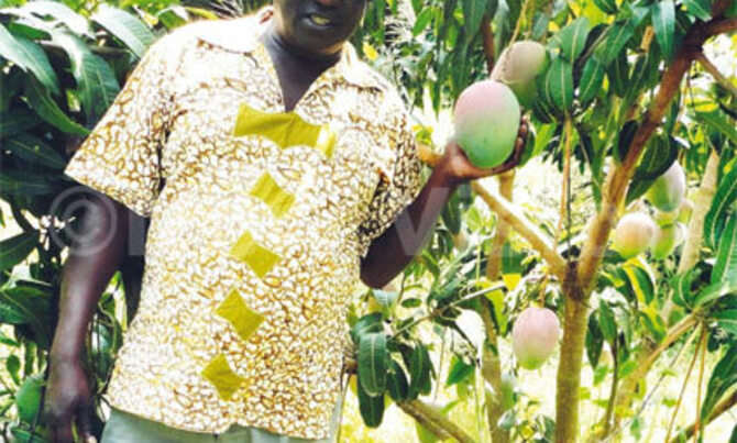 Arua's Ajedra lives ,speaks farming Arua's Ajedra lives ,speaks farming