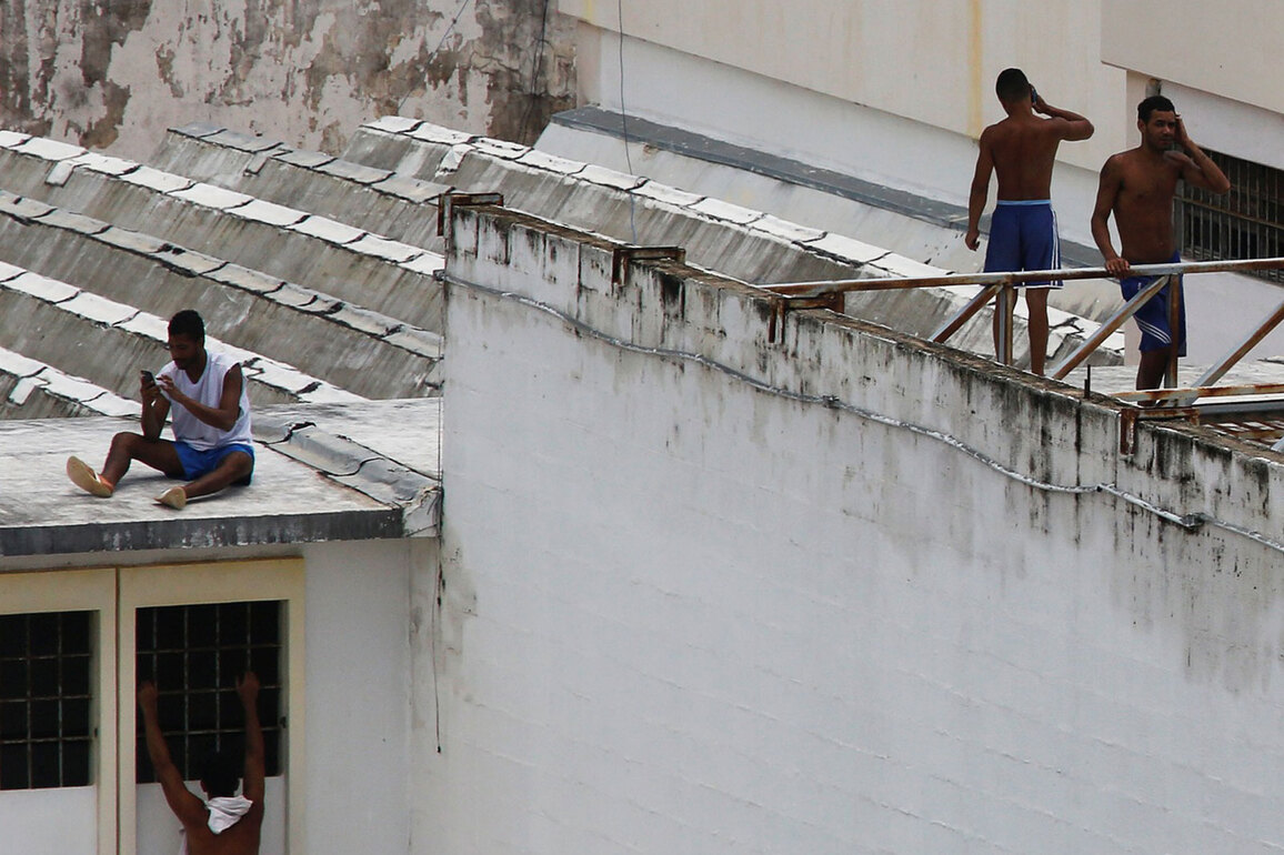 China expands executions of Myanmar scam centre suspects as part of sweeping crackdown