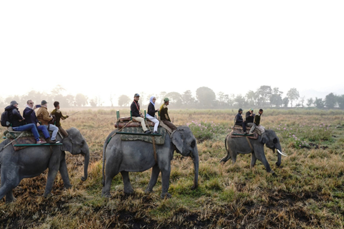 Jaishankar, Heads of Mission and diplomats visit Sarnath archaeological site, Kaziranga National Park