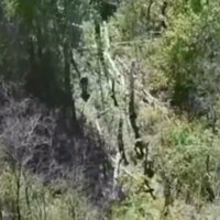 New Ukrainian Kursk assault repelled - Chechen leader (VIDEO)