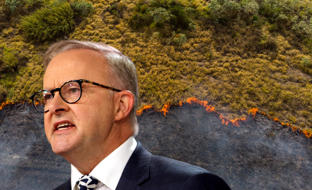 Australians back strong 2035 climate target