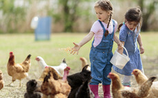 Farm kids urged to write Christmas letters to Sir Keir Starmer on how the family farm tax will impact the future of British farming