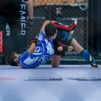 UAE National MMA Championship kicks off tomorrow in Dubai